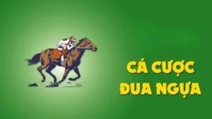Tìm Hiểu Cá Cược Đua Ngựa HB88 Hấp Dẫn Và Kịch Tính Nhất 2025