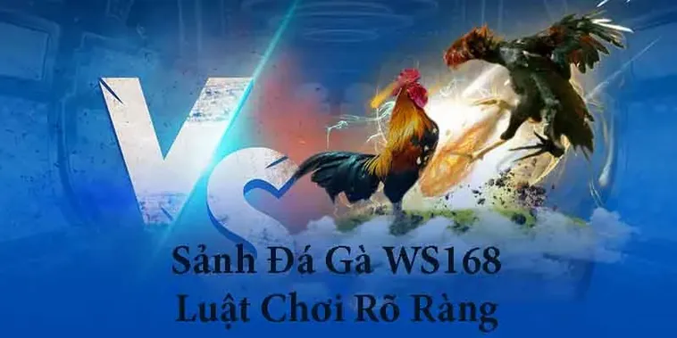 Hướng Dẫn Cách Chơi Đá Gà WS168 Tại HB88 Cho Tân Binh Vui Vẻ 2 Hướng Dẫn Cách Chơi Đá Gà WS168 Tại HB88 Cho Tân Binh Vui Vẻ