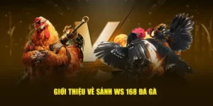 Hướng Dẫn Cách Chơi Đá Gà WS168 Tại HB88 Cho Tân Binh Vui Vẻ