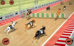 Cách Chơi Game Nhanh Đua Chó Tại HB88 Giải Trí Cực Đỉnh Online